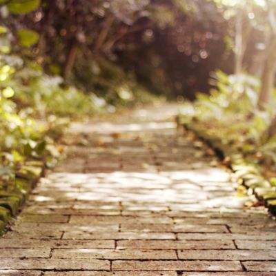 金沙官方版下载